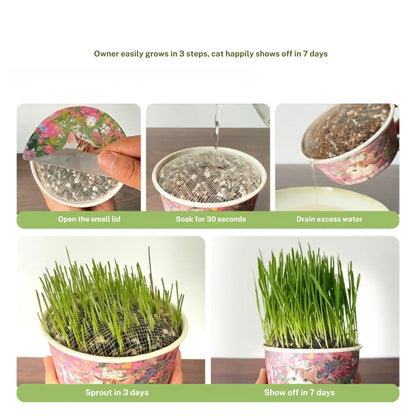 Organic Cat Grass Snack