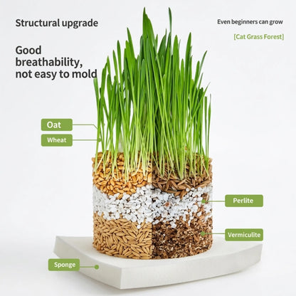 Organic Cat Grass Snack