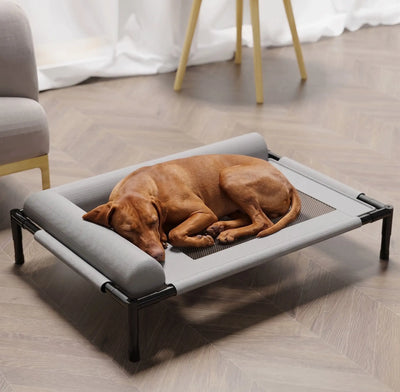 Outdoor Elevated Dog Bed-Waterproof, Breathable Camp Cot