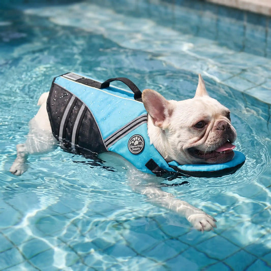 Dog Life Vest & Swimming Safety Jacket