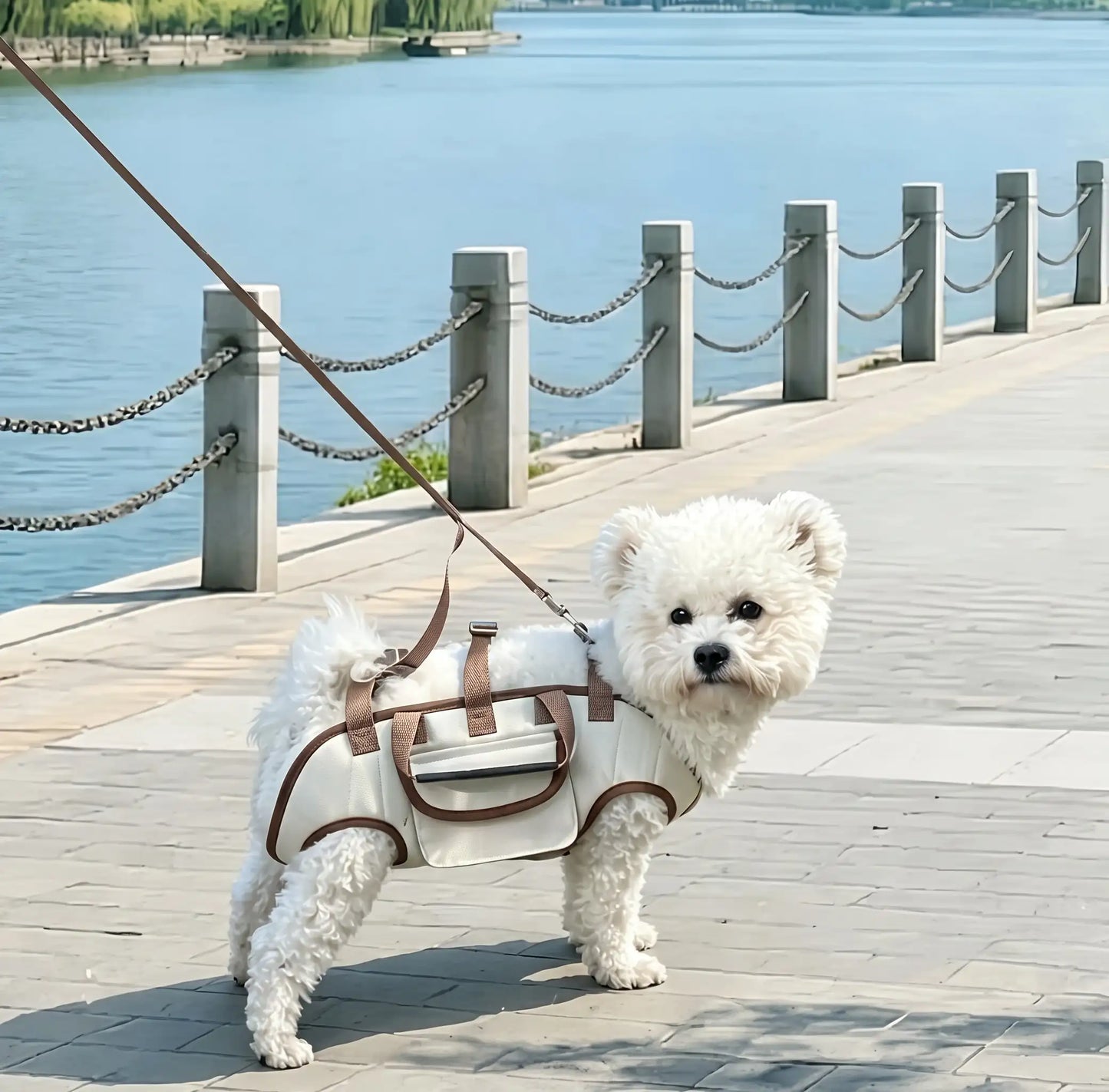 Luxury Leather Pet Carrier Handbag-Stylish Cat & Small Dog Bag
