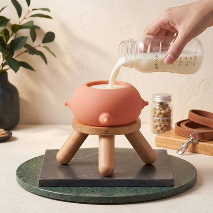 Cat And Dog Feeding Silicone Bowl