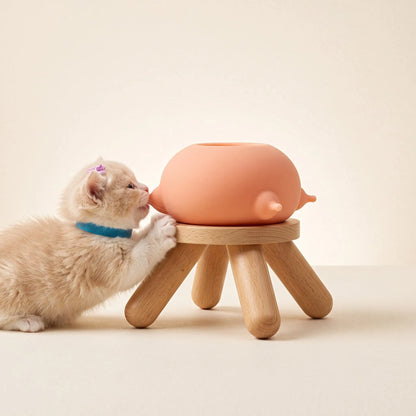 Cat And Dog Feeding Silicone Bowl