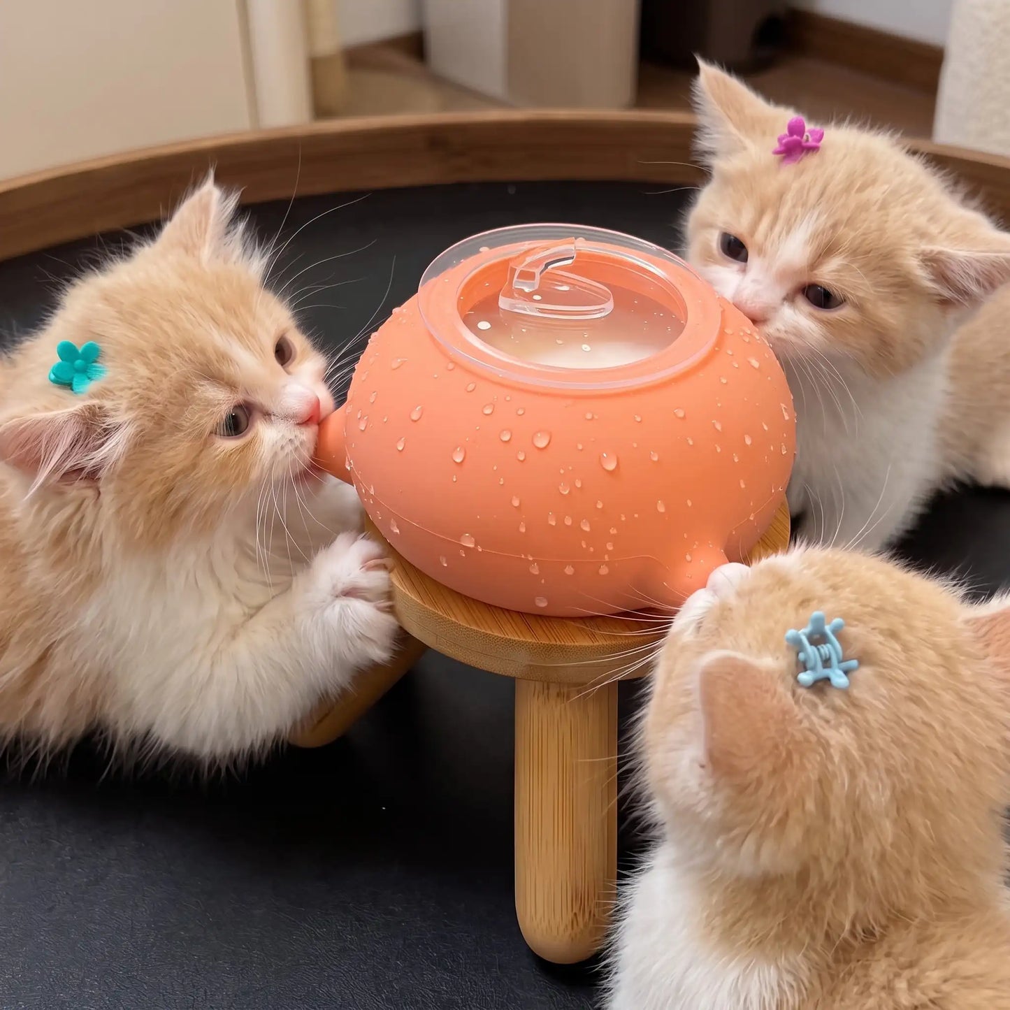 Cat And Dog Feeding Silicone Bowl