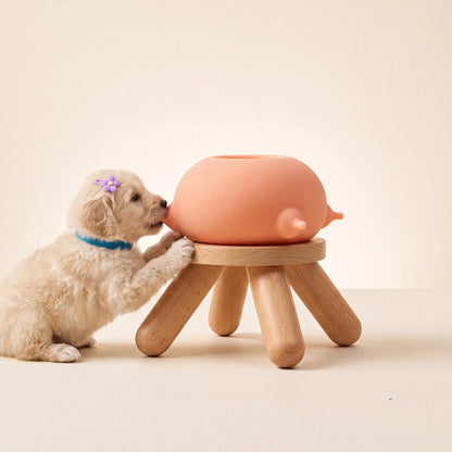 Cat And Dog Feeding Silicone Bowl