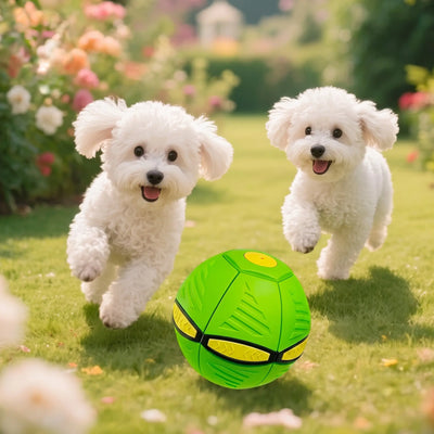 UFO Bouncing Ball Dog Toy - LED Flash Interactive Pet Toy