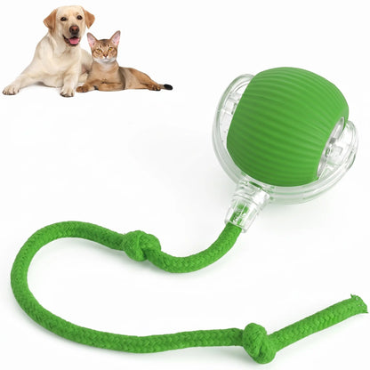 360° Auto Rolling Smart Pet Ball — Interactive Toy for Dogs & Cats