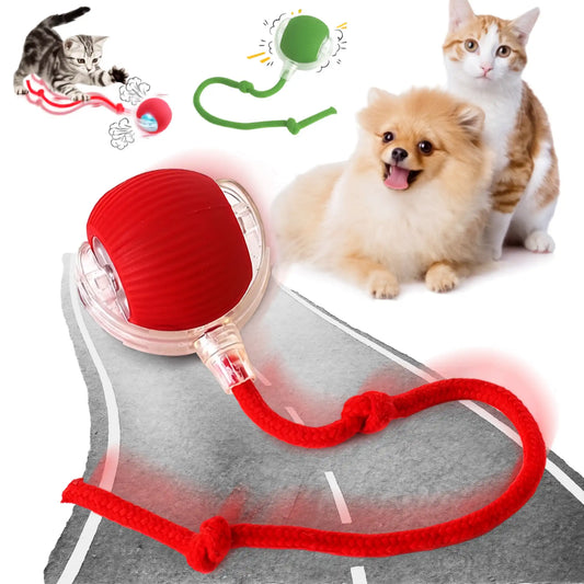 360° Auto Rolling Smart Pet Ball — Interactive Toy for Dogs & Cats