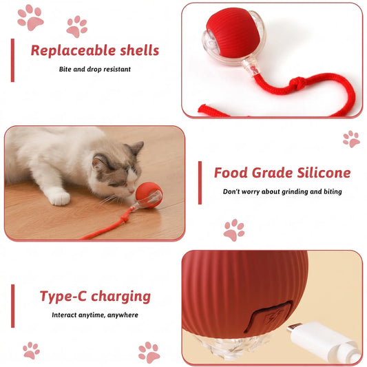 360° Auto Rolling Smart Pet Ball — Interactive Toy for Dogs & Cats