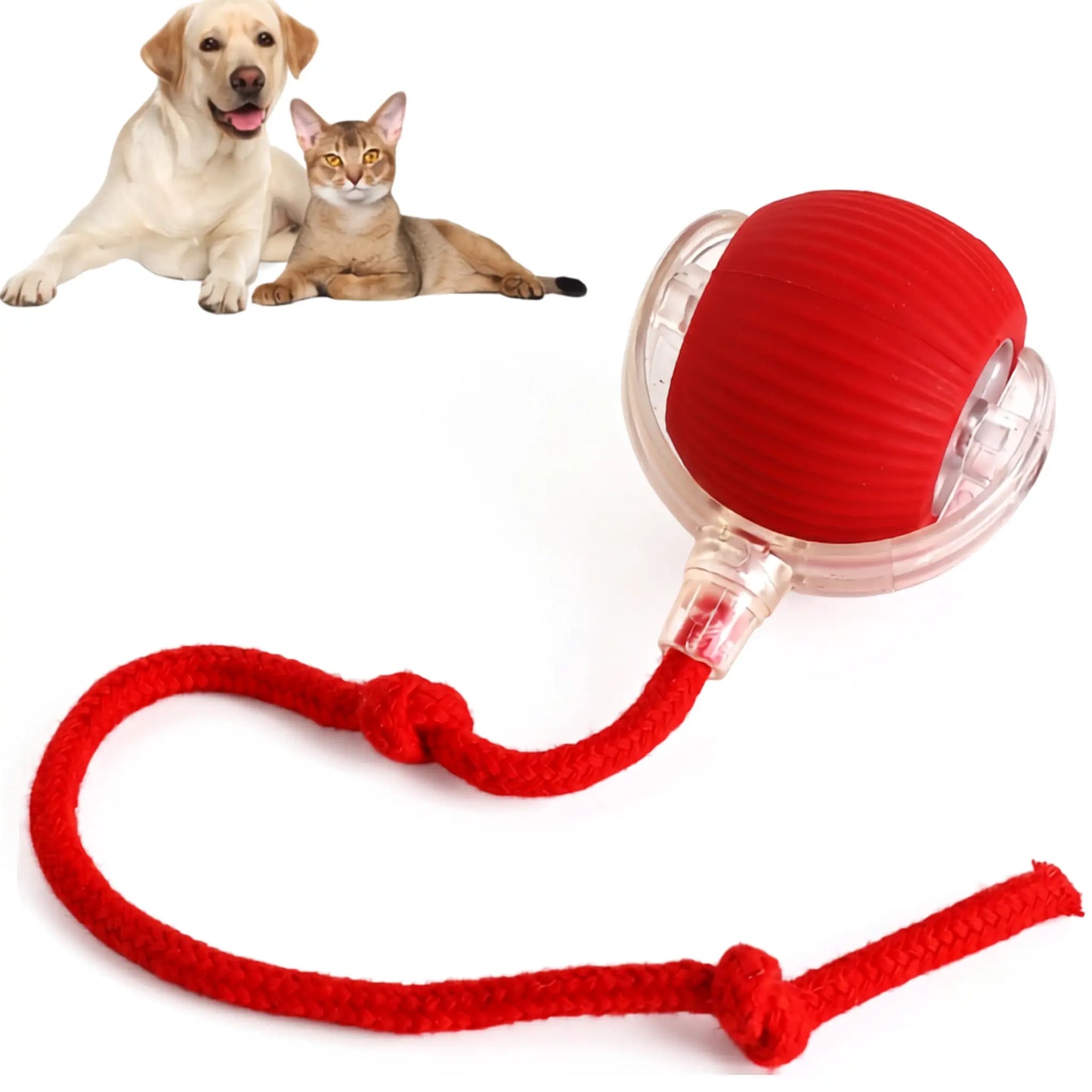 360° Auto Rolling Smart Pet Ball — Interactive Toy for Dogs & Cats