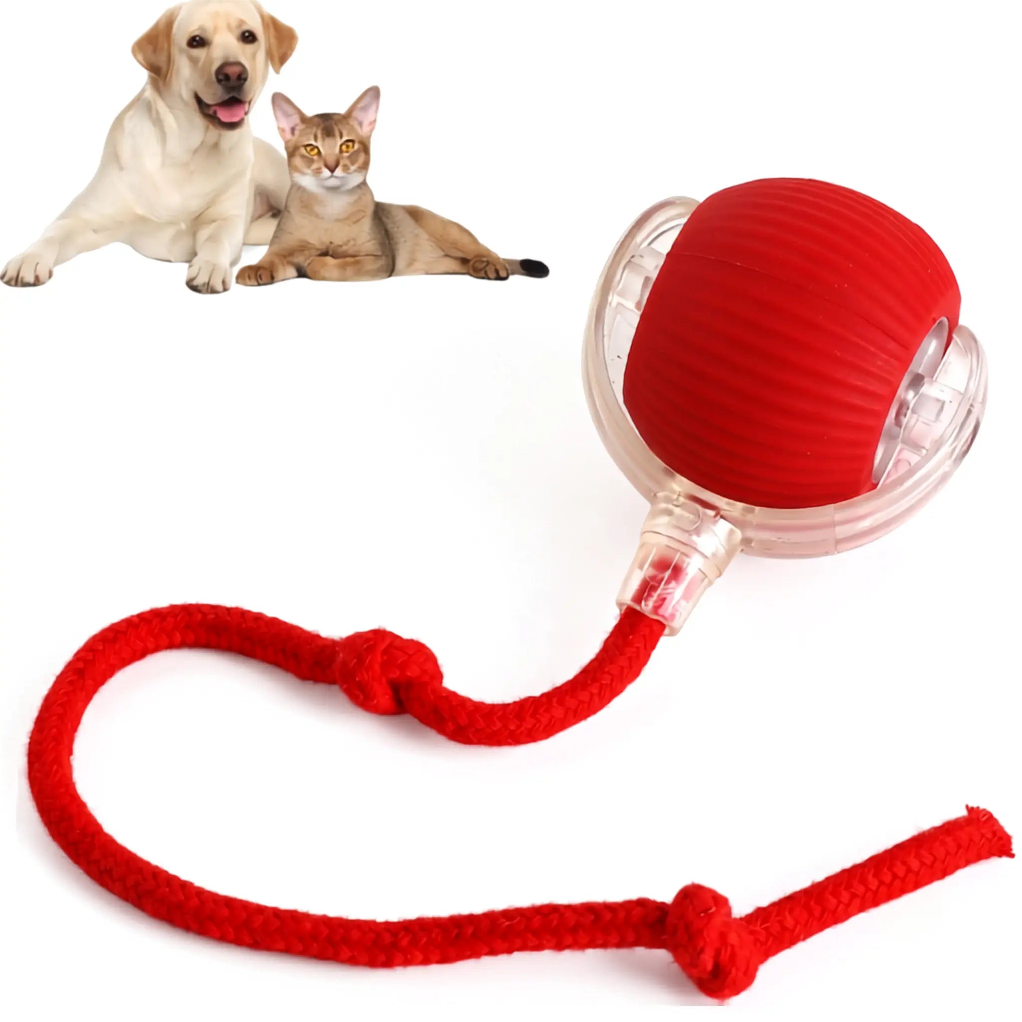 360° Auto Rolling Smart Pet Ball — Interactive Toy for Dogs & Cats