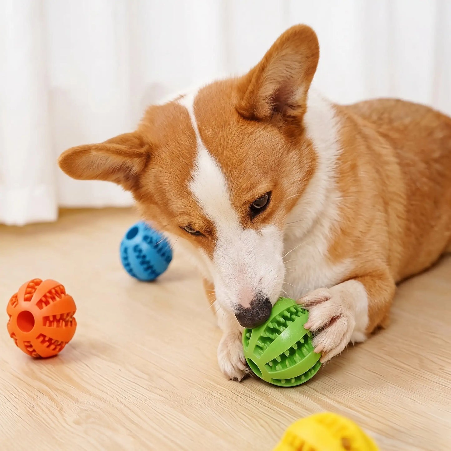 Rubber Chew Ball Dog Toy-Bite-Resistant Molar & IQ Training Ball