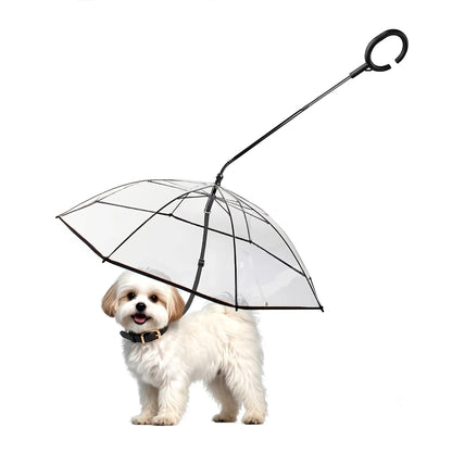 Clear Dog Umbrella with Leash — Keeps Small Dogs Dry on Rainy Walks