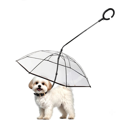 Clear Dog Umbrella with Leash — Keeps Small Dogs Dry on Rainy Walks