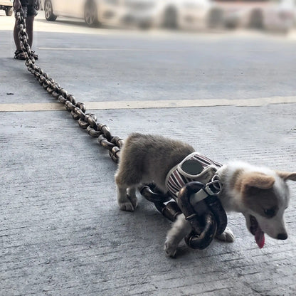 Funny Fake Chain Dog Leash — Lightweight Simulation Iron Chain
