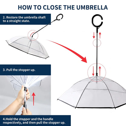 Clear Dog Umbrella with Leash — Keeps Small Dogs Dry on Rainy Walks