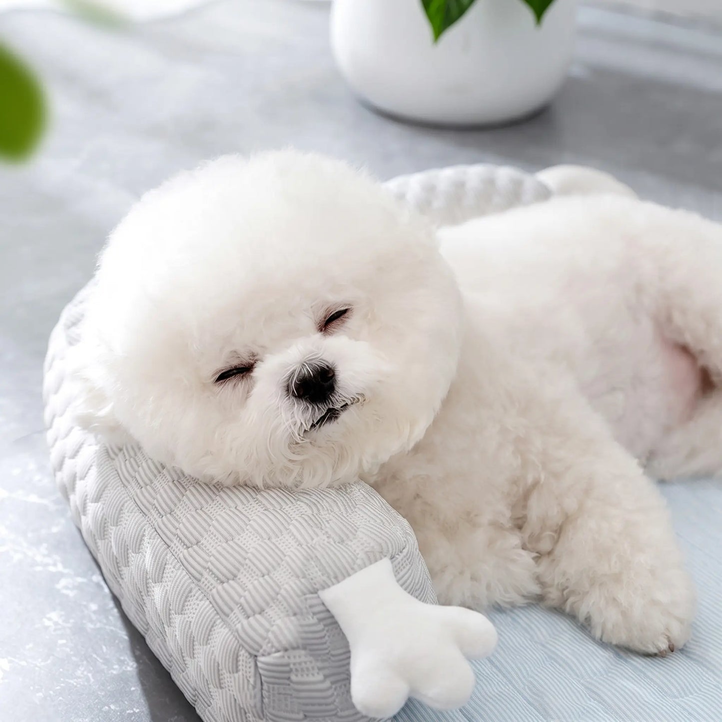 Cooling Dog Mat-Breathable Pet Bed for Dogs & Cats