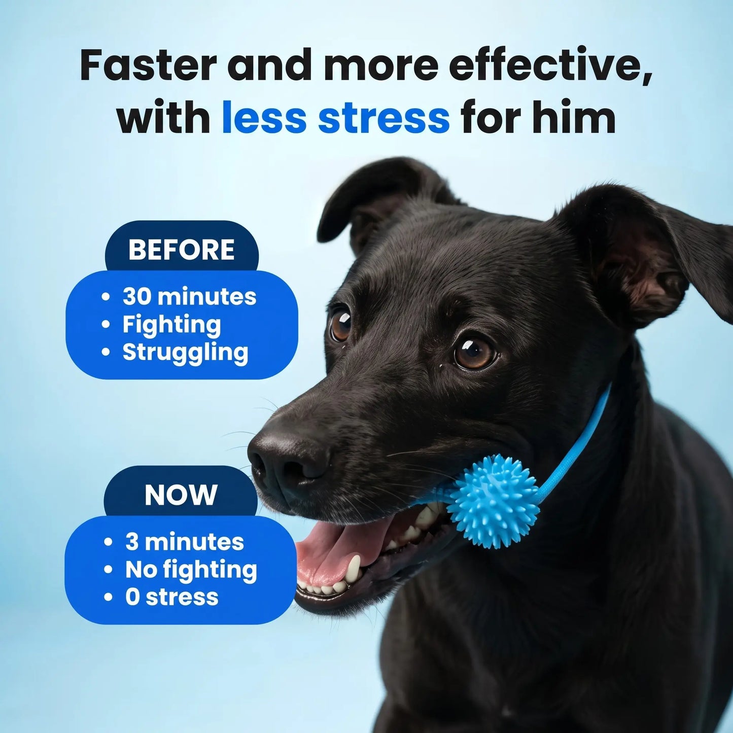 BoneGuard Dental Chew-Dog Toothbrush Chew Stick for Clean Teeth
