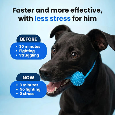 BoneGuard Dental Chew-Dog Toothbrush Chew Stick for Clean Teeth