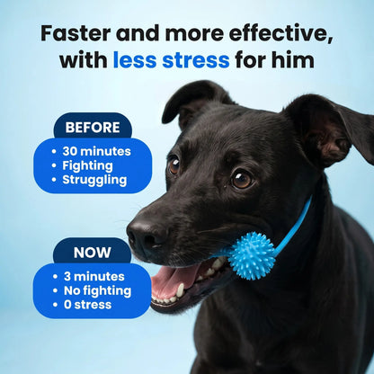 BoneGuard Dental Chew-Dog Toothbrush Chew Stick for Clean Teeth