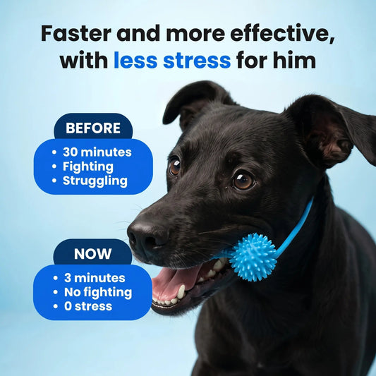 BoneGuard Dental Chew-Dog Toothbrush Chew Stick for Clean Teeth