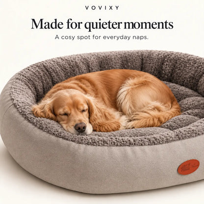 Close-up of a sleeping spaniel nestled against the padded rim of the Light Grey bolster bed
