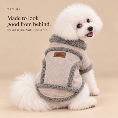 White Bichon wearing a Light Brown dog coat with grey trim, showing the shaped back