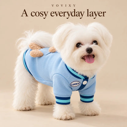 White Maltese wearing a Blue Bear dog sweatshirt, showing the front neckline and short sleeves