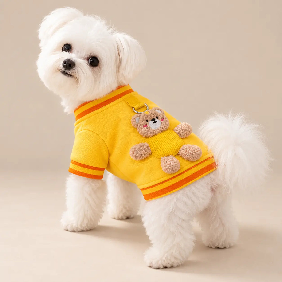 White dog wearing the Yellow Bear cotton sweatshirt with a plush teddy bear detail on the back