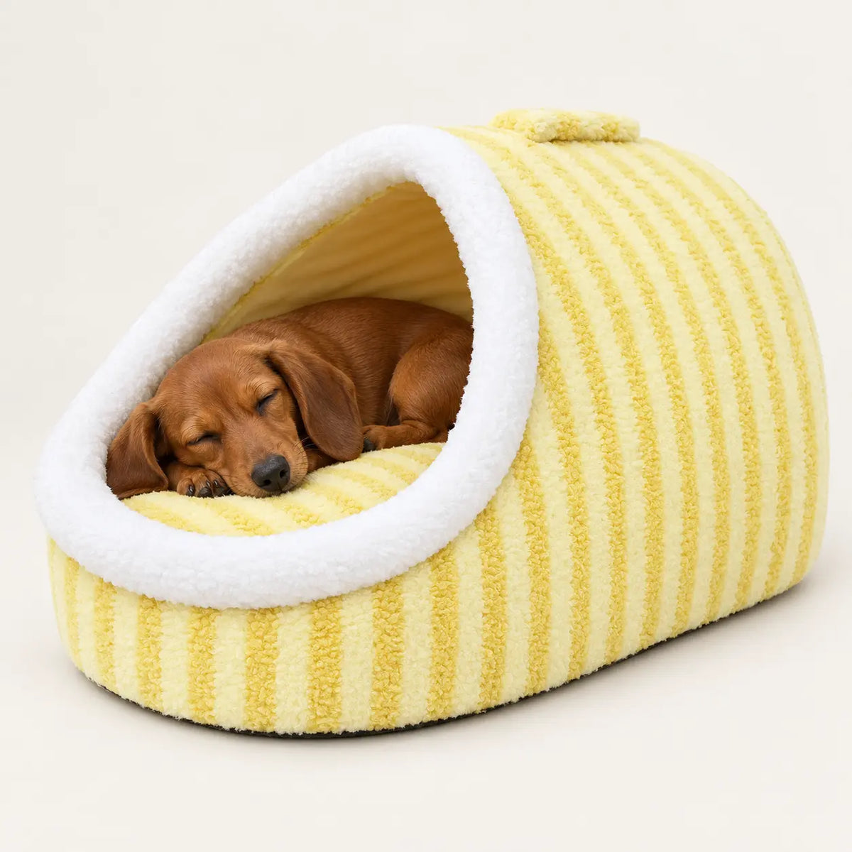 Yellow Macaron pet cave bed with a sleeping Dachshund puppy