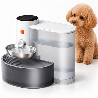 Filterless pet water fountain with stainless steel bowl beside an apricot Toy Poodle